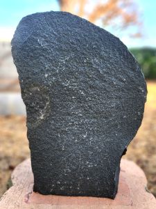 참고사진