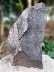 참고사진