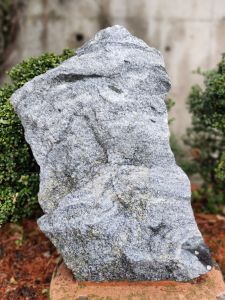 참고사진